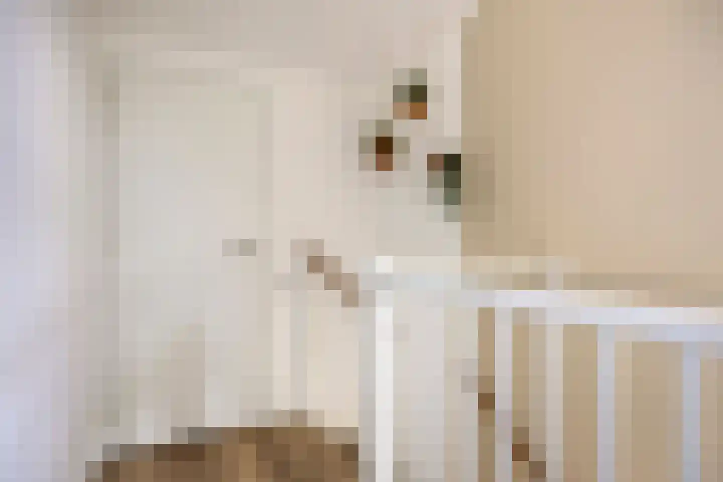 Blauwvlas 2 Lage Zwaluwe thumbnail 35