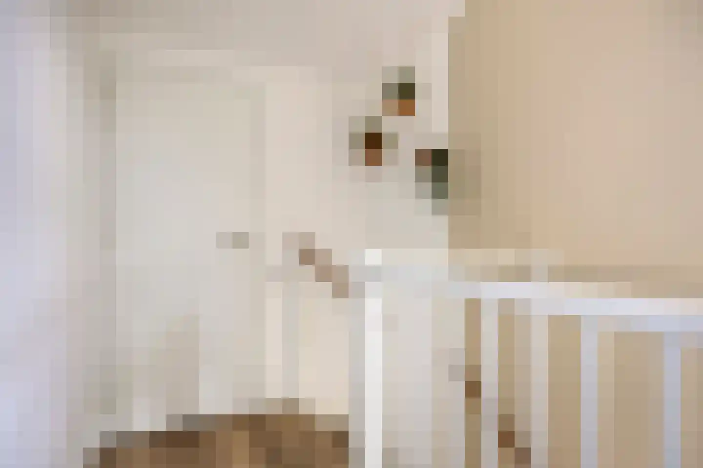 Blauwvlas 2 Lage Zwaluwe thumbnail 36