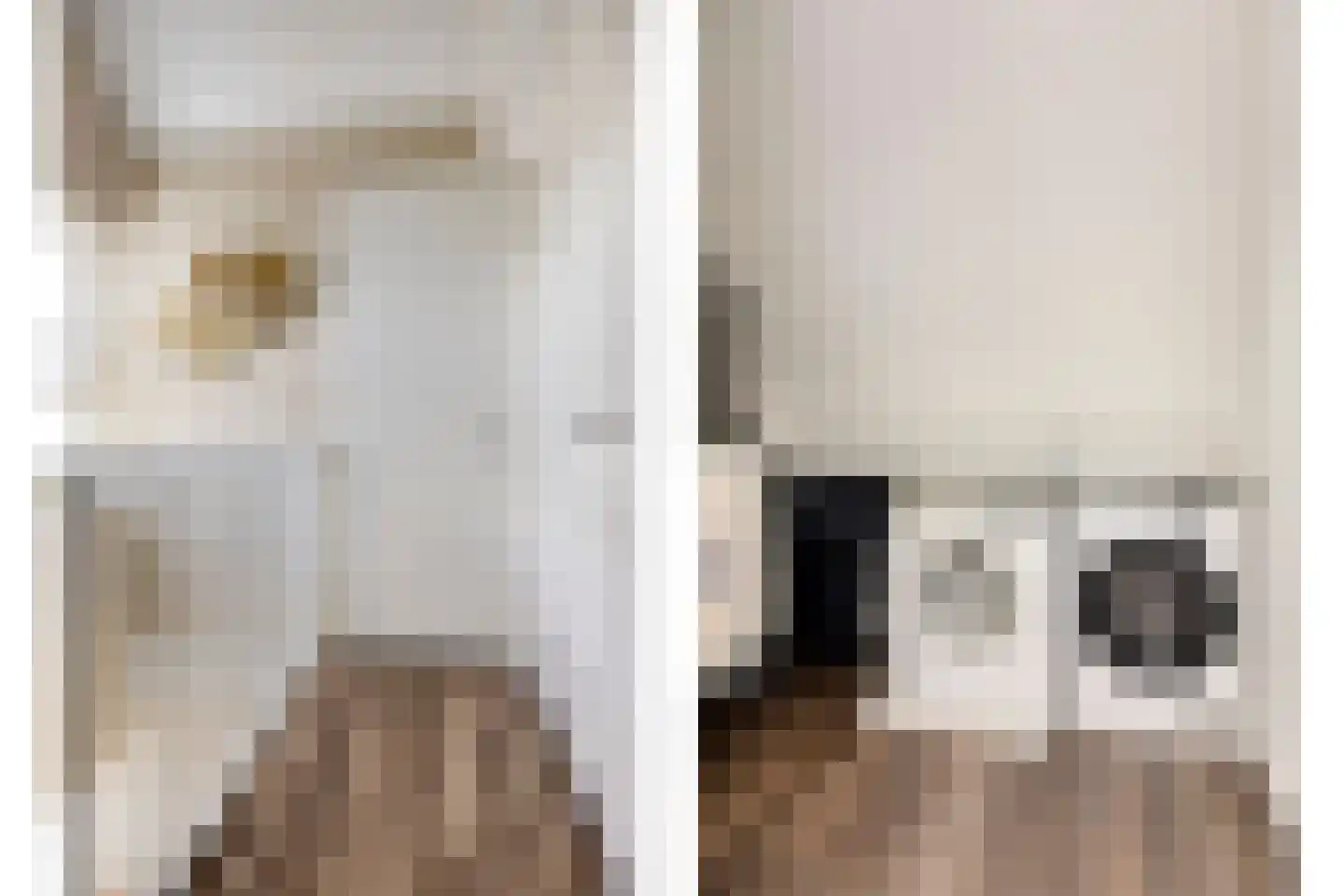 Blauwvlas 2 Lage Zwaluwe thumbnail 36