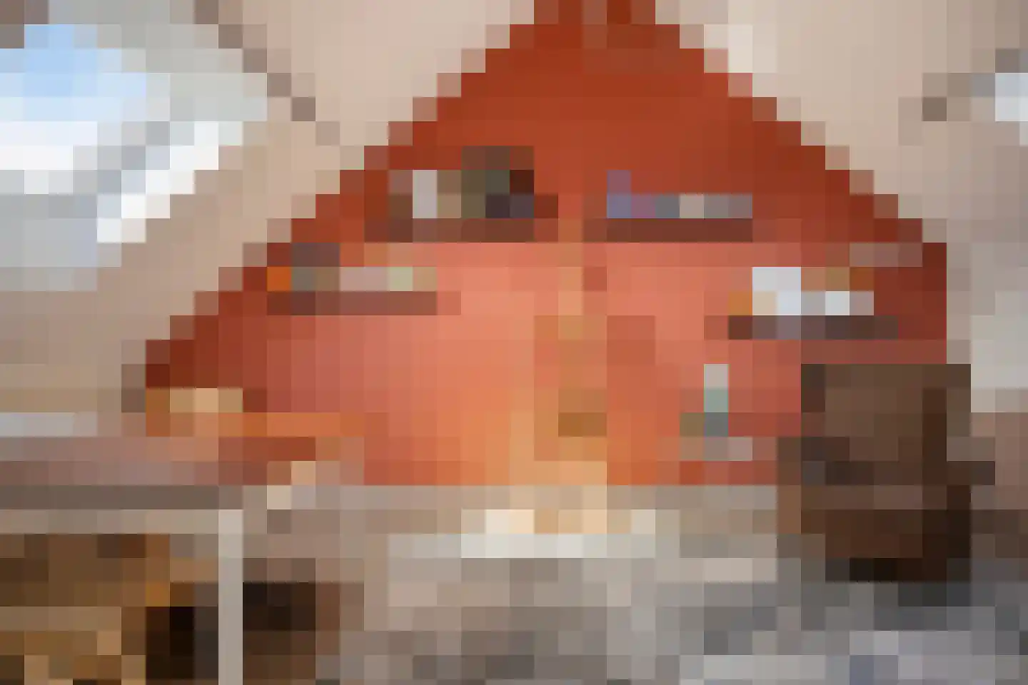 Blauwvlas 2 Lage Zwaluwe thumbnail 37