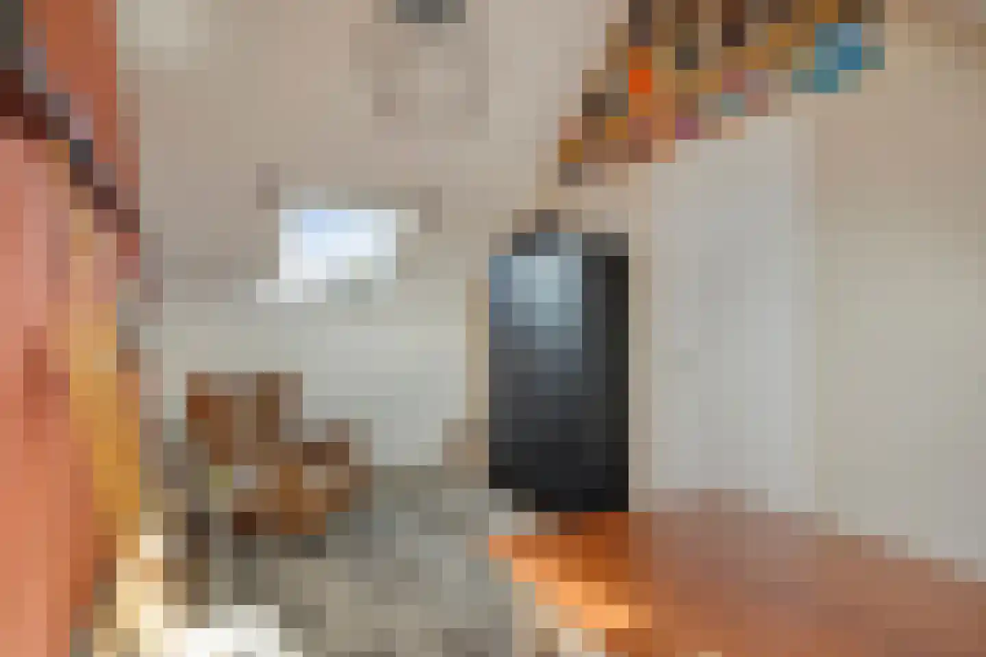 Blauwvlas 2 Lage Zwaluwe thumbnail 39