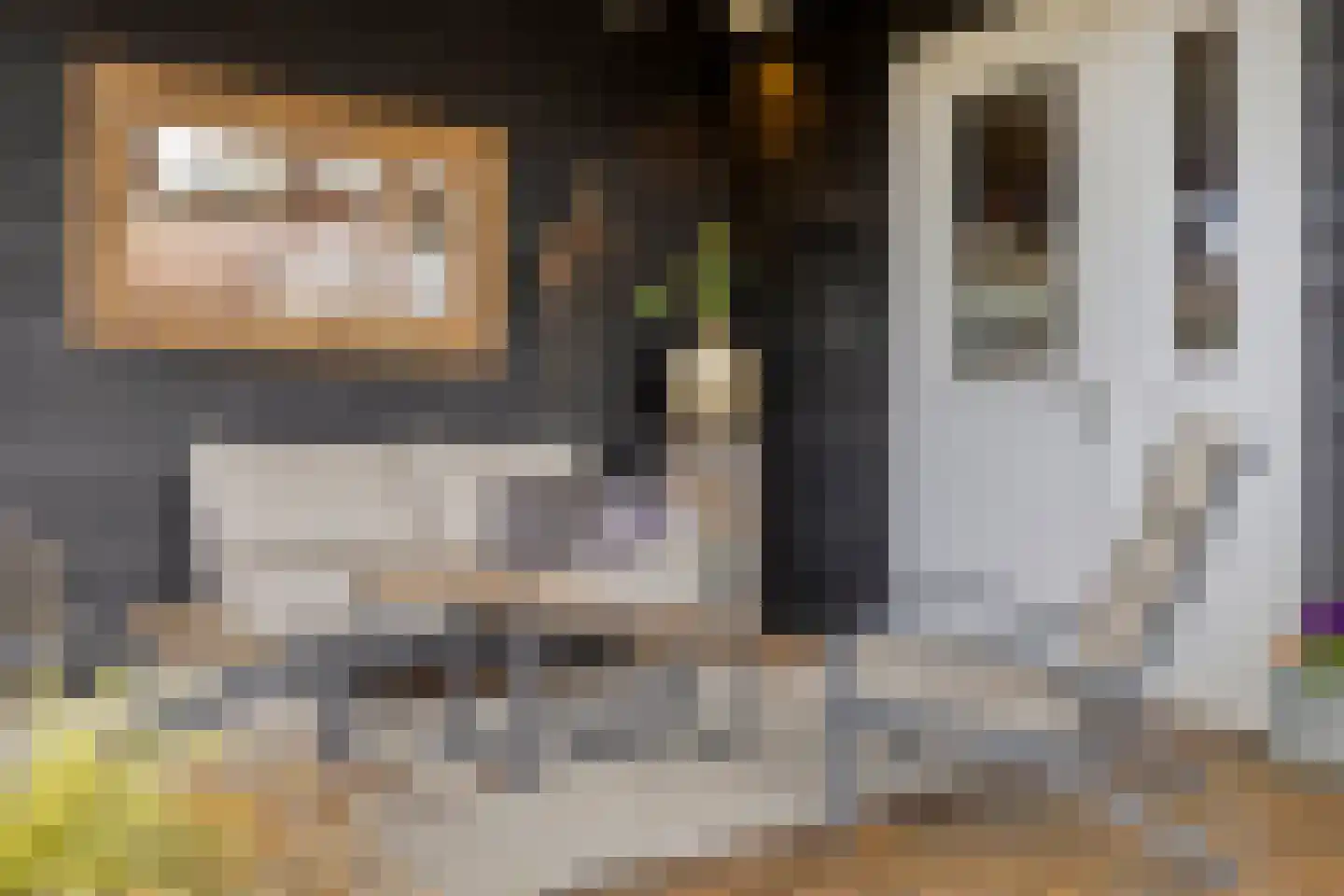 Blauwvlas 2 Lage Zwaluwe thumbnail 43