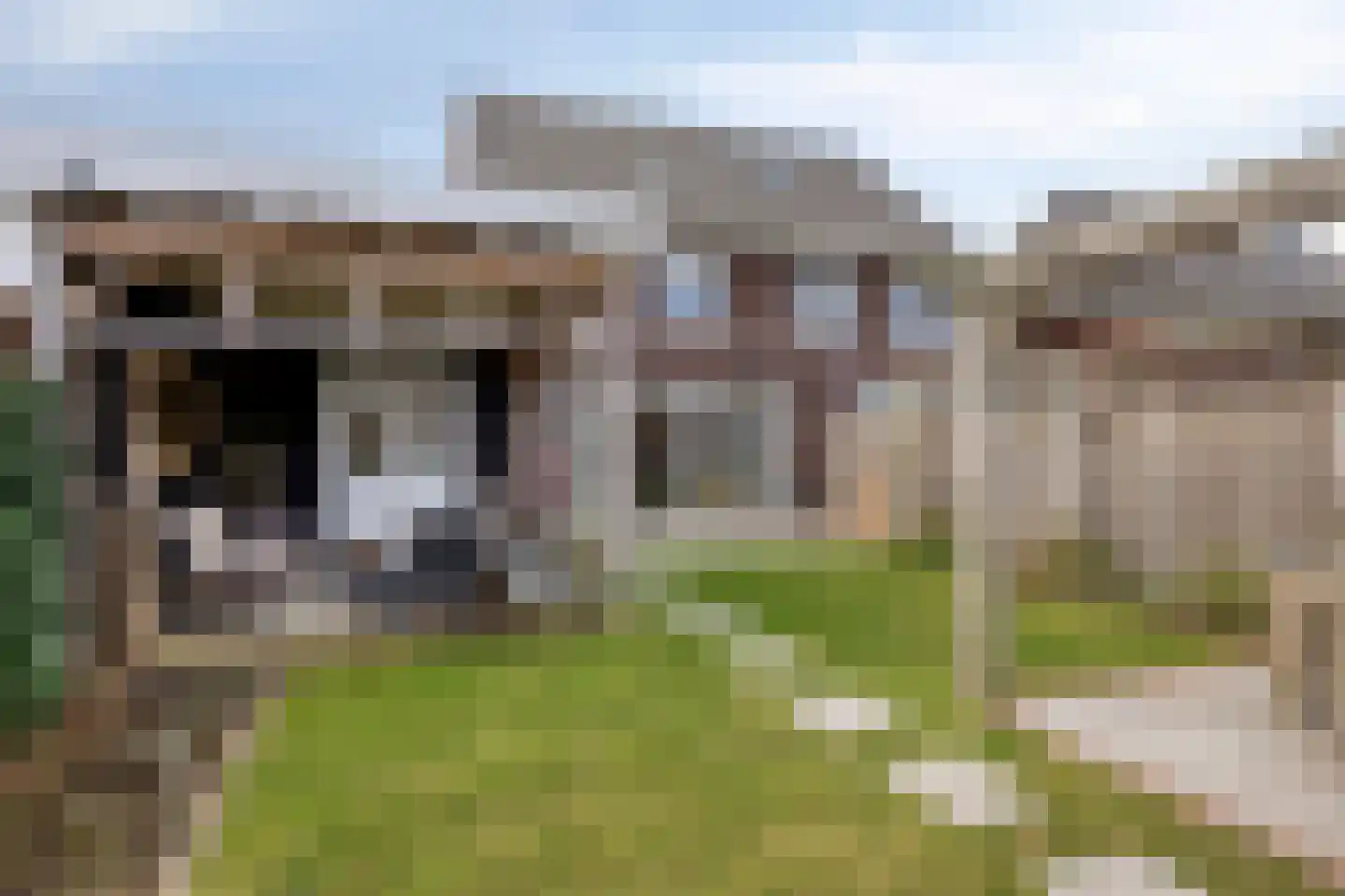 Blauwvlas 2 Lage Zwaluwe thumbnail 46