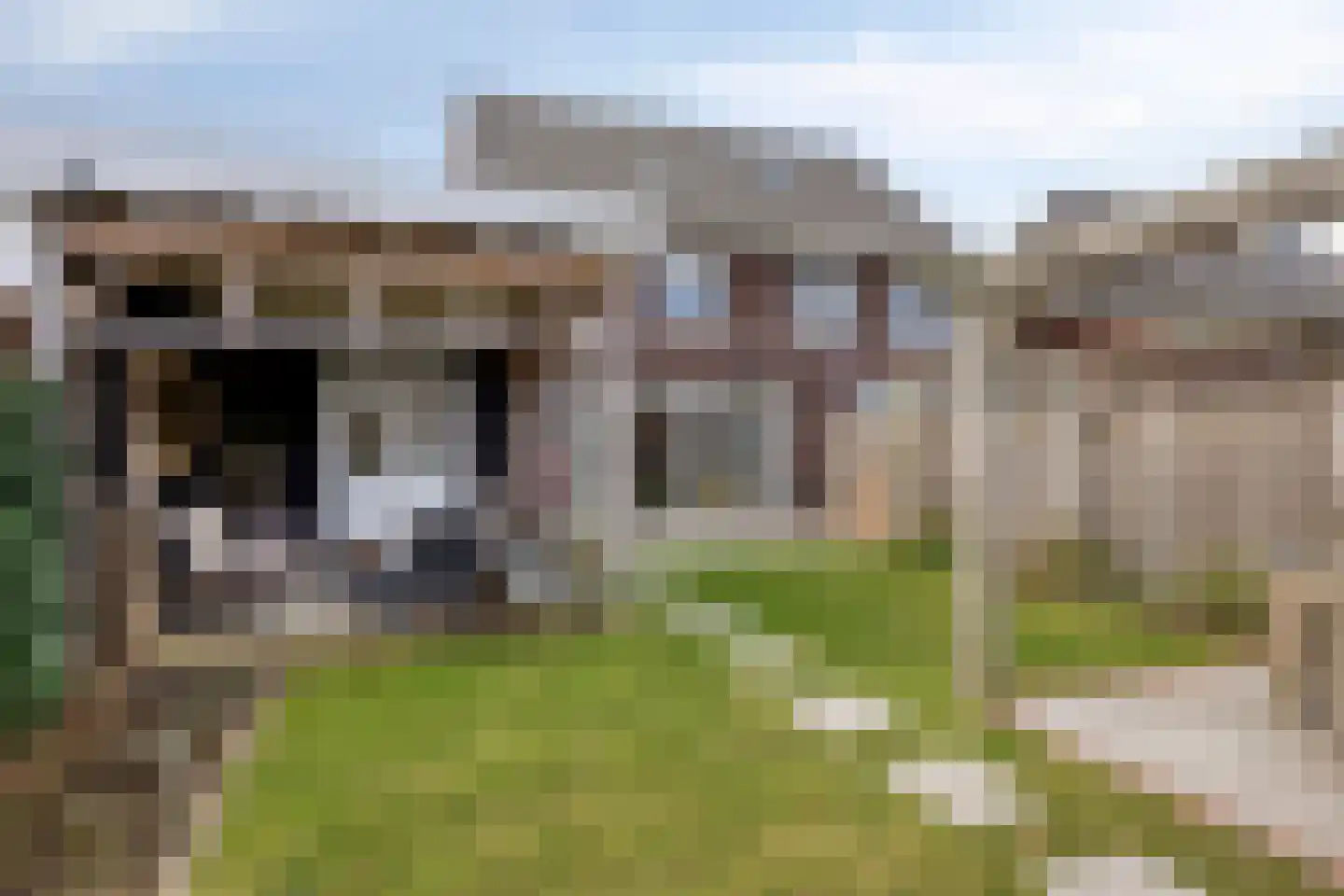 Blauwvlas 2 Lage Zwaluwe thumbnail 47