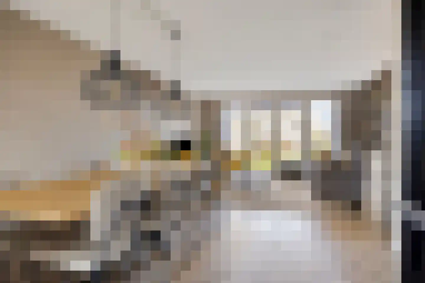 Blauwvlas 2 Lage Zwaluwe thumbnail 6