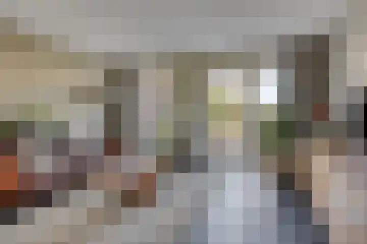 Blauwvlas 20 Lage Zwaluwe thumbnail 10