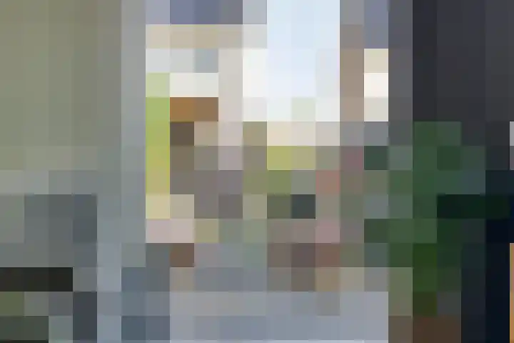 Blauwvlas 20 Lage Zwaluwe thumbnail 12