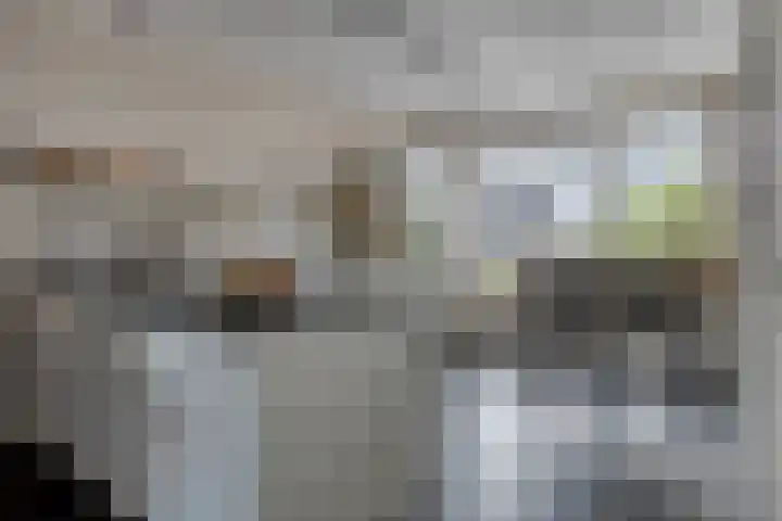 Blauwvlas 20 Lage Zwaluwe thumbnail 15