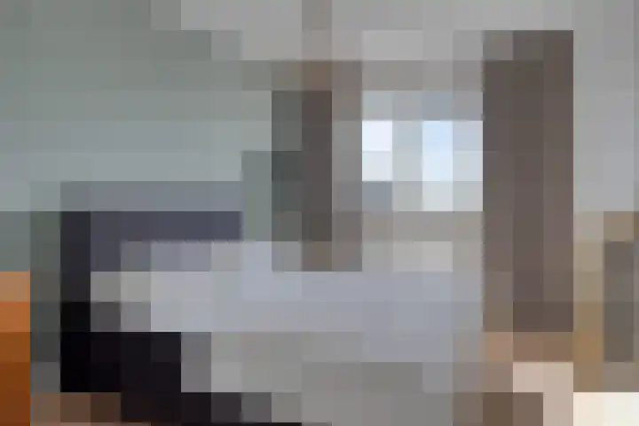 Blauwvlas 20 Lage Zwaluwe thumbnail 23