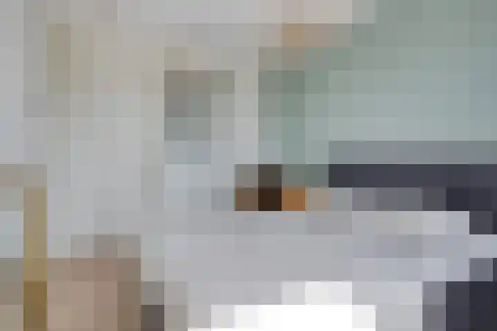 Blauwvlas 20 Lage Zwaluwe thumbnail 24