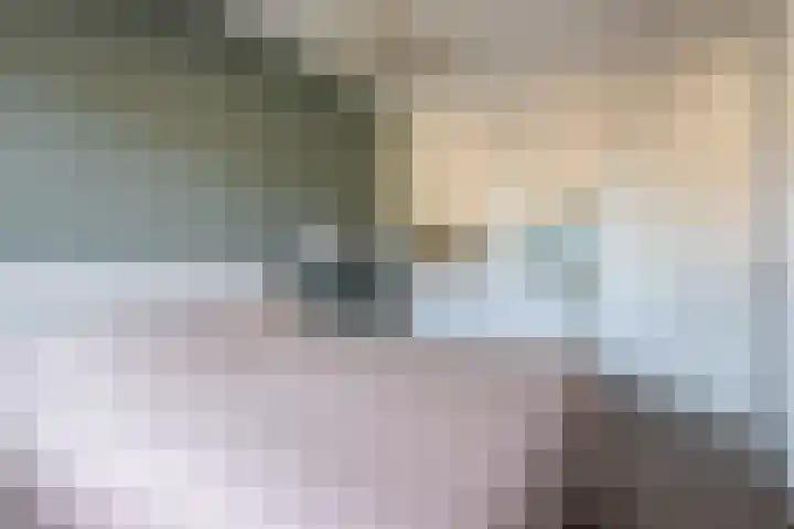 Blauwvlas 20 Lage Zwaluwe thumbnail 26