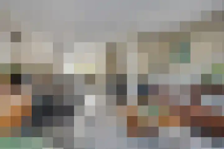 Blauwvlas 20 Lage Zwaluwe foto 3