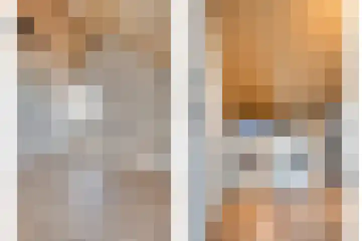 Blauwvlas 20 Lage Zwaluwe thumbnail 36