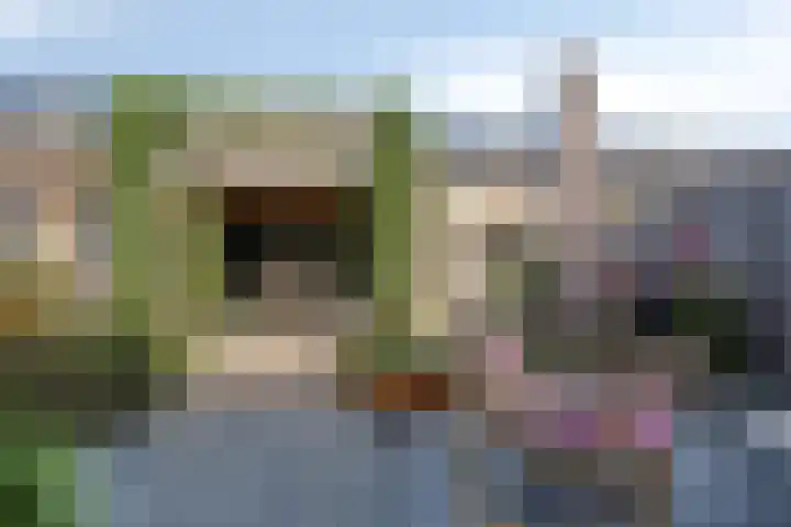 Blauwvlas 20 Lage Zwaluwe thumbnail 41