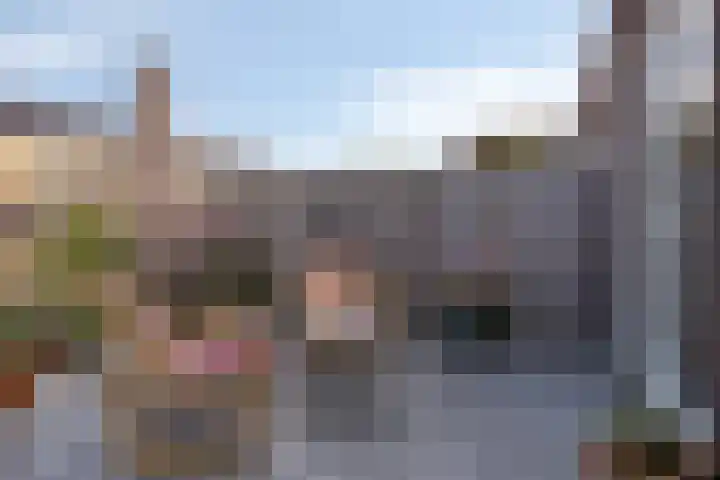 Blauwvlas 20 Lage Zwaluwe thumbnail 42