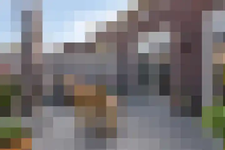 Blauwvlas 20 Lage Zwaluwe thumbnail 43