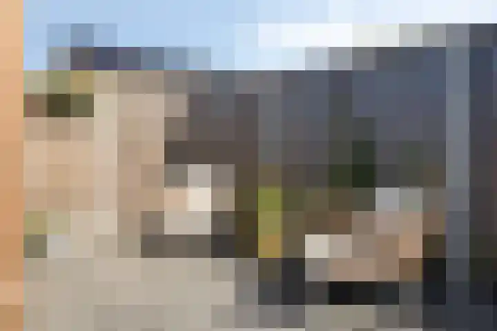 Blauwvlas 20 Lage Zwaluwe thumbnail 44