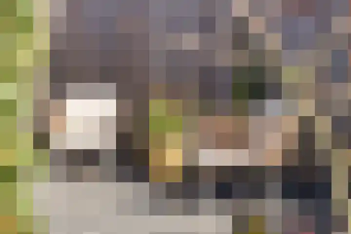 Blauwvlas 20 Lage Zwaluwe thumbnail 45