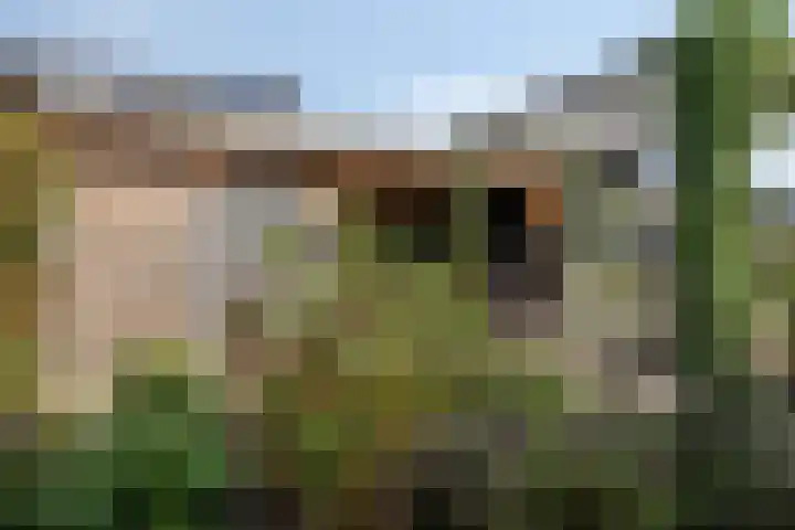 Blauwvlas 20 Lage Zwaluwe thumbnail 46