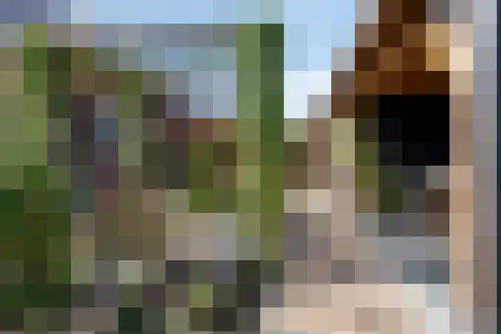 Blauwvlas 20 Lage Zwaluwe thumbnail 47