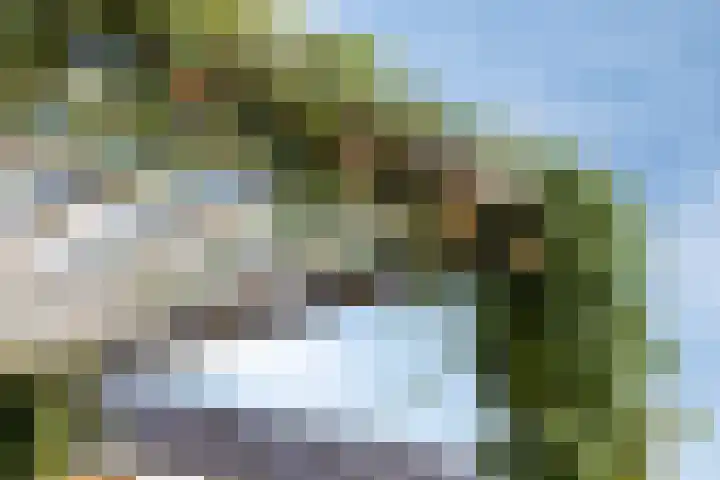 Blauwvlas 20 Lage Zwaluwe thumbnail 48
