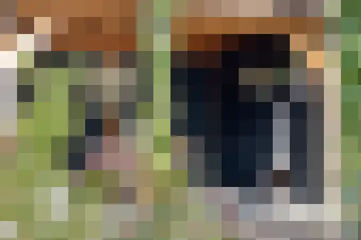 Blauwvlas 20 Lage Zwaluwe thumbnail 49