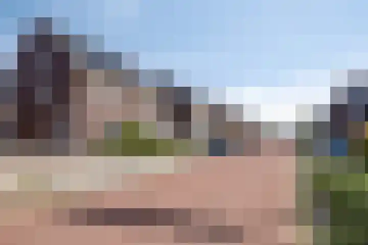 Blauwvlas 20 Lage Zwaluwe thumbnail 5