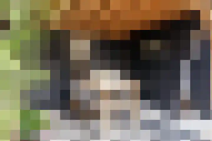 Blauwvlas 20 Lage Zwaluwe thumbnail 50