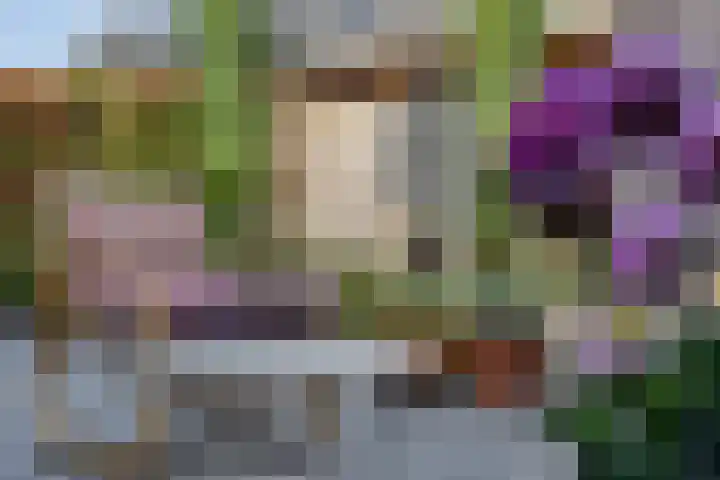 Blauwvlas 20 Lage Zwaluwe thumbnail 53