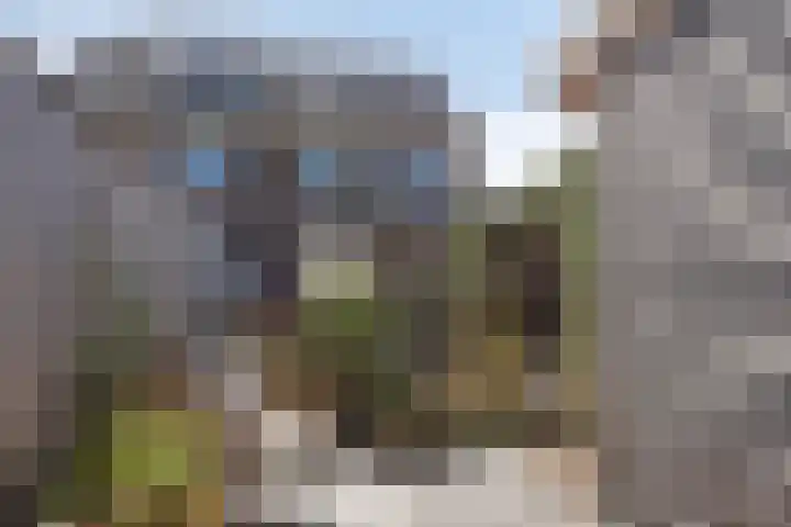 Blauwvlas 20 Lage Zwaluwe thumbnail 54