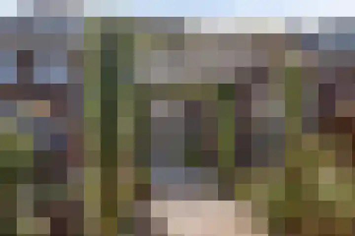 Blauwvlas 20 Lage Zwaluwe thumbnail 55