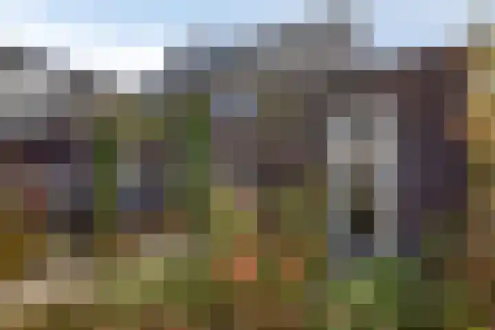 Blauwvlas 20 Lage Zwaluwe thumbnail 56
