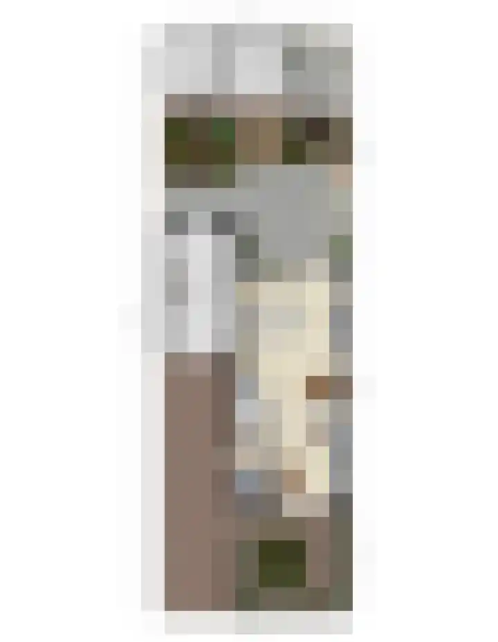 Blauwvlas 20 Lage Zwaluwe thumbnail 57