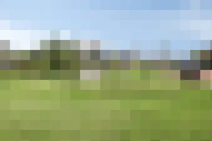 Blauwvlas 20 Lage Zwaluwe thumbnail 60