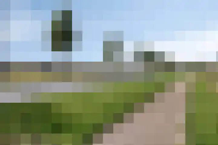 Blauwvlas 20 Lage Zwaluwe thumbnail 61