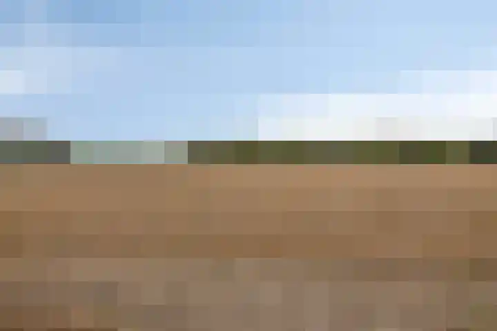 Blauwvlas 20 Lage Zwaluwe thumbnail 62