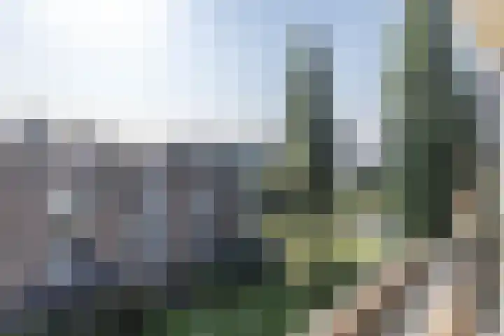 Blauwvoetstraat 10 H Amsterdam thumbnail 11