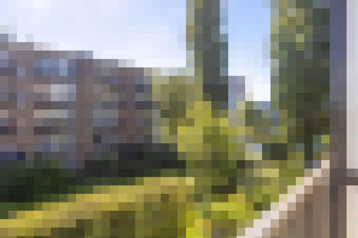 Blauwvoetstraat 10 H Amsterdam thumbnail 14