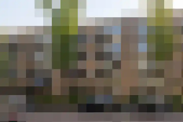 Blauwvoetstraat 10 H Amsterdam thumbnail 22