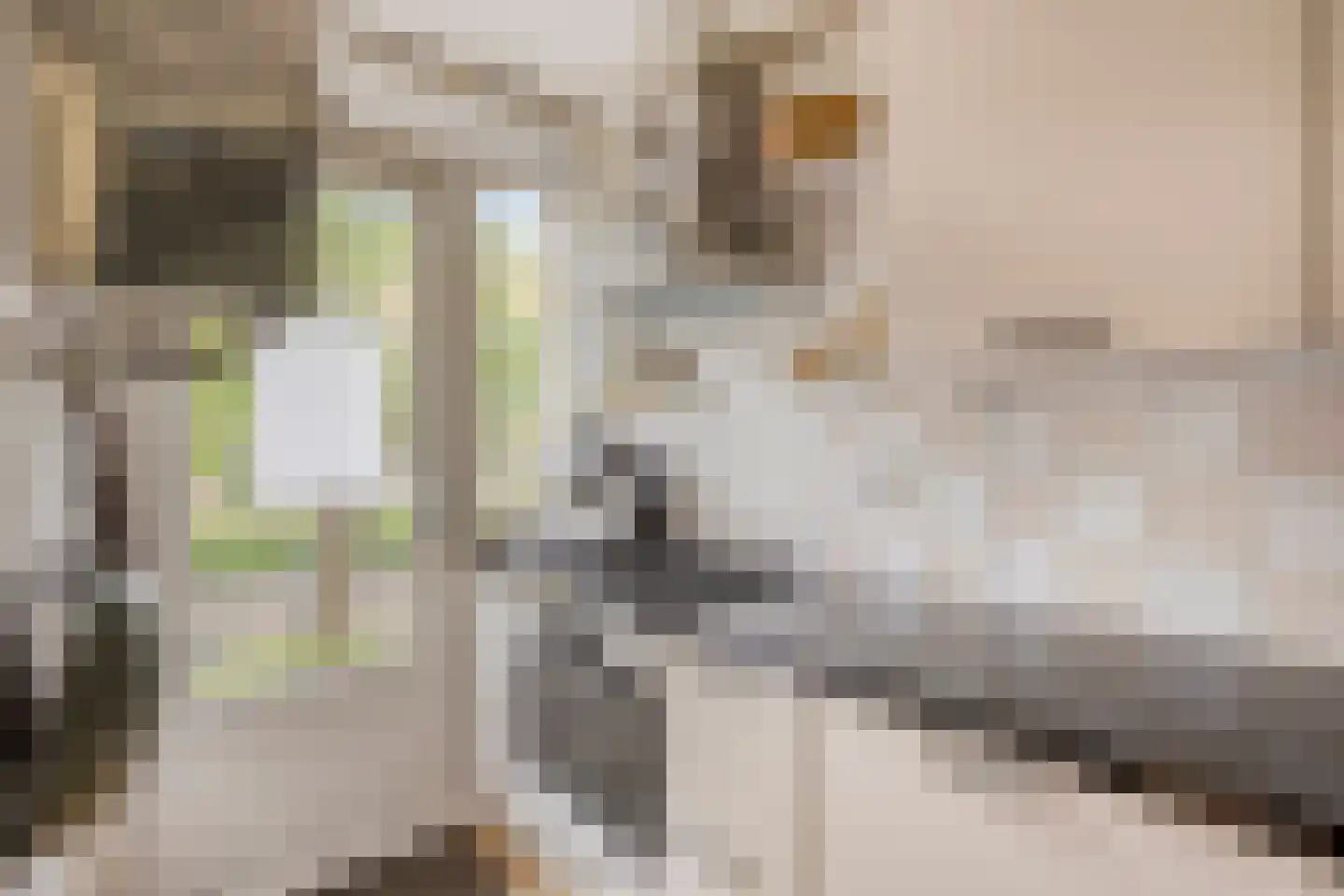 Blauwvoetstraat 14 3 Amsterdam thumbnail 10