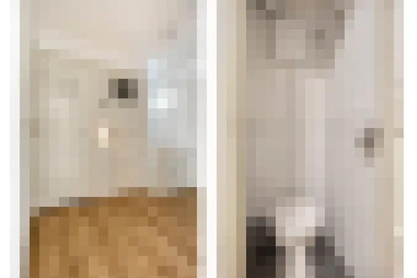 Blauwvoetstraat 14 3 Amsterdam thumbnail 16