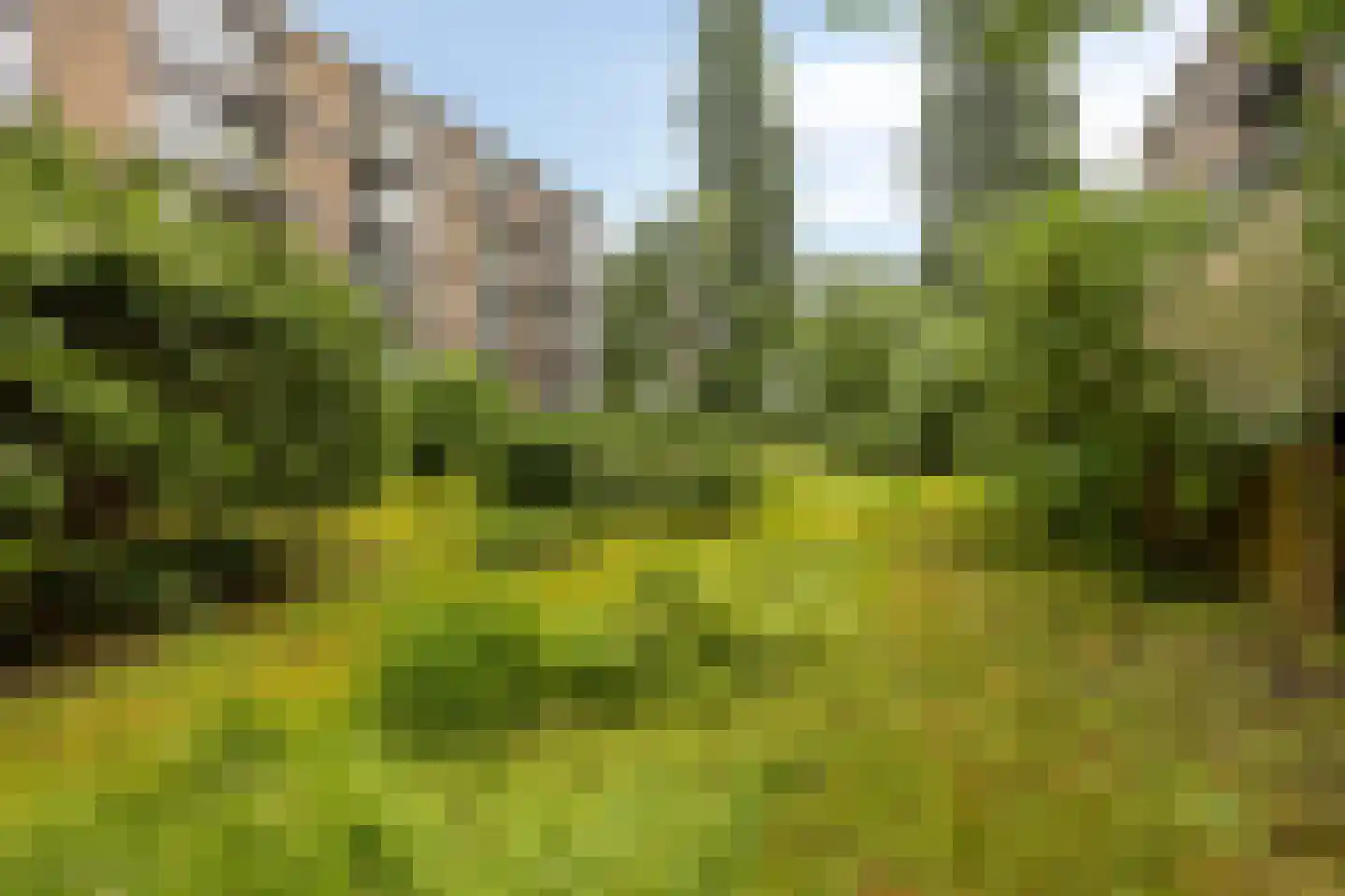 Blauwvoetstraat 14 3 Amsterdam thumbnail 27