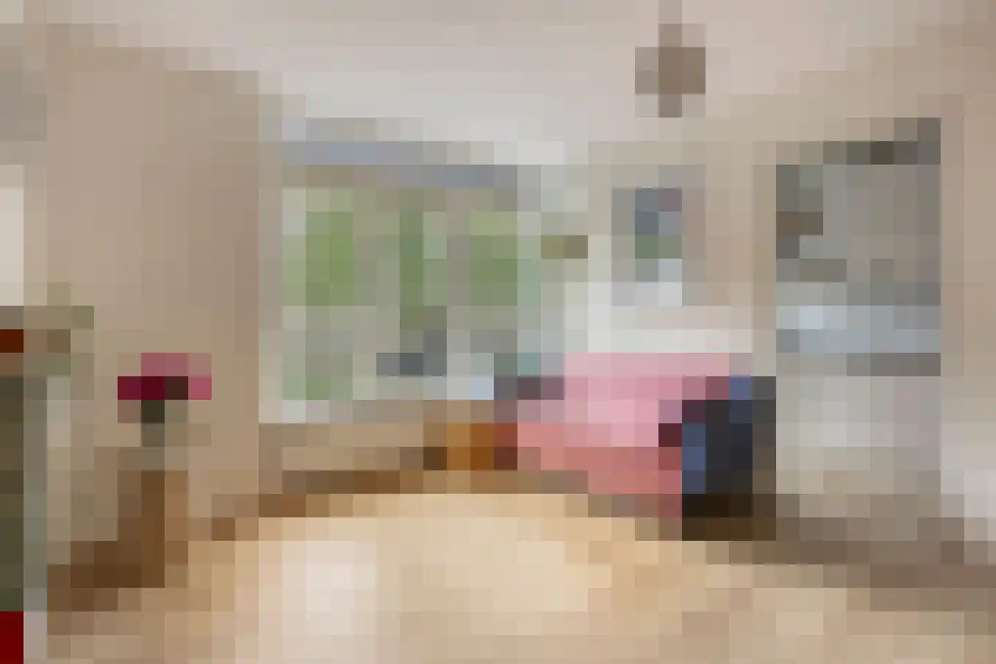 Blauwvoetstraat 14 3 Amsterdam thumbnail 5