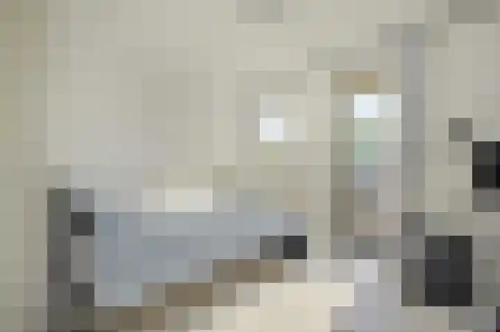 Blauwvoetstraat 17 Amsterdam thumbnail 13