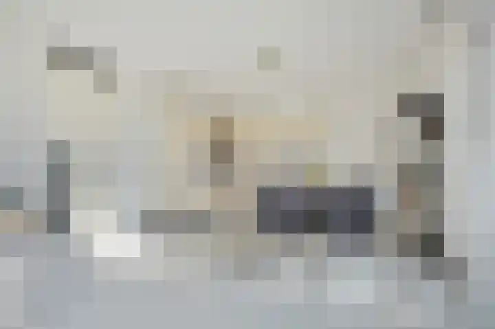 Blauwvoetstraat 17 Amsterdam thumbnail 5