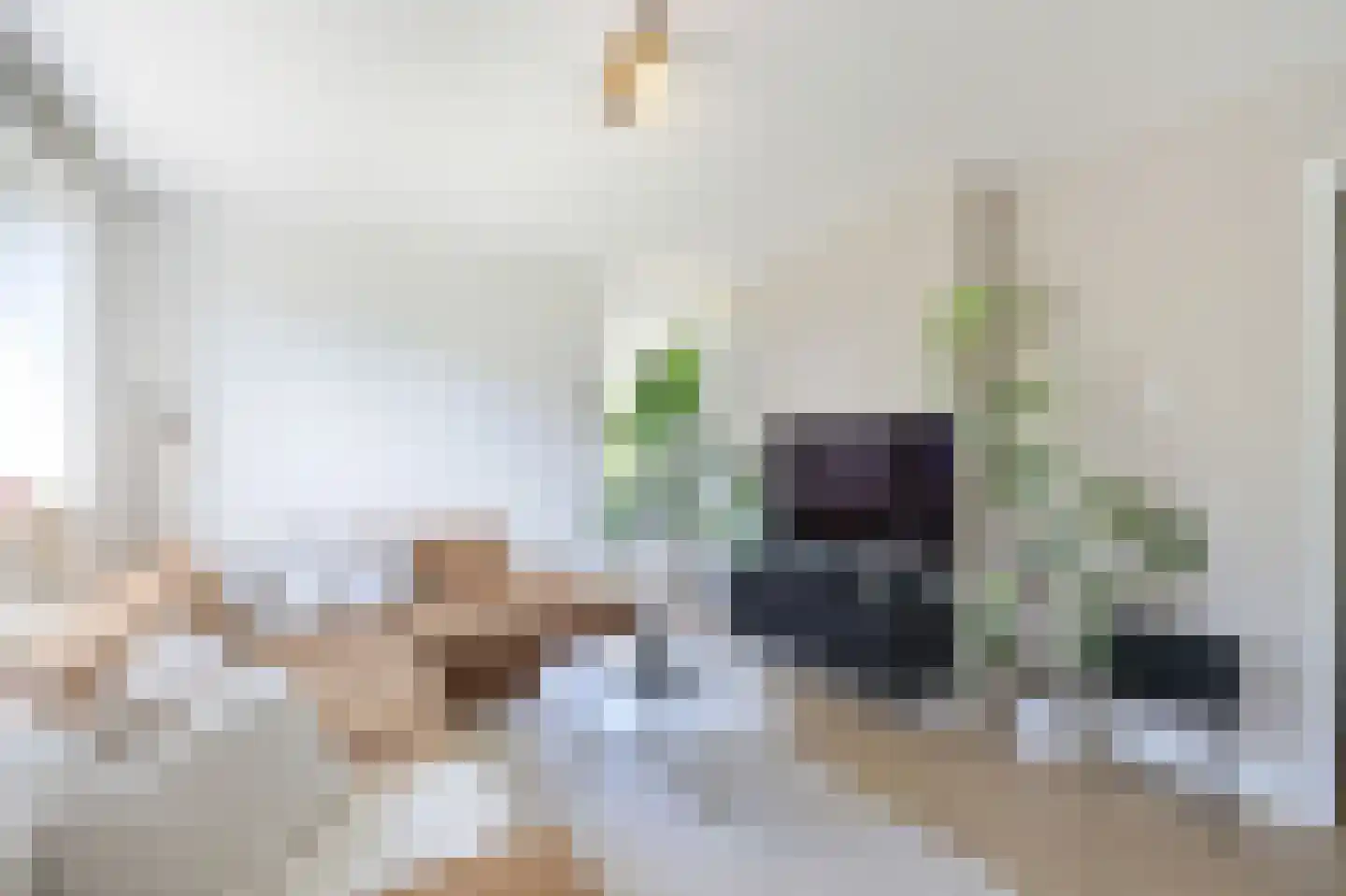Blauwvoetstraat 2 1 Amsterdam thumbnail 9