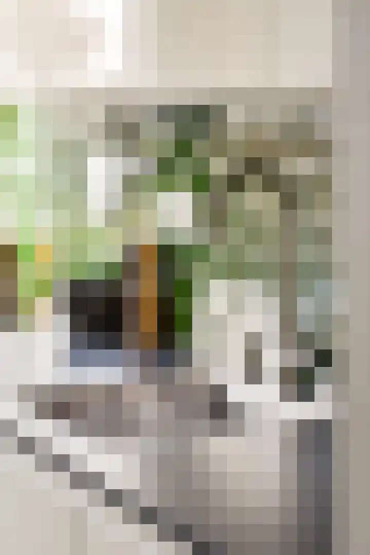 Blauwvoetstraat 2 2 Amsterdam thumbnail 10