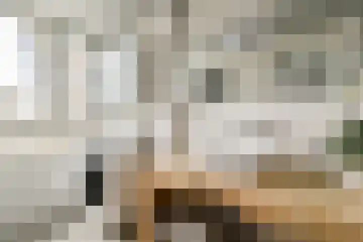 Blauwvoetstraat 2 2 Amsterdam thumbnail 16