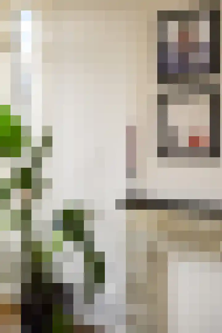 Blauwvoetstraat 2 2 Amsterdam thumbnail 7