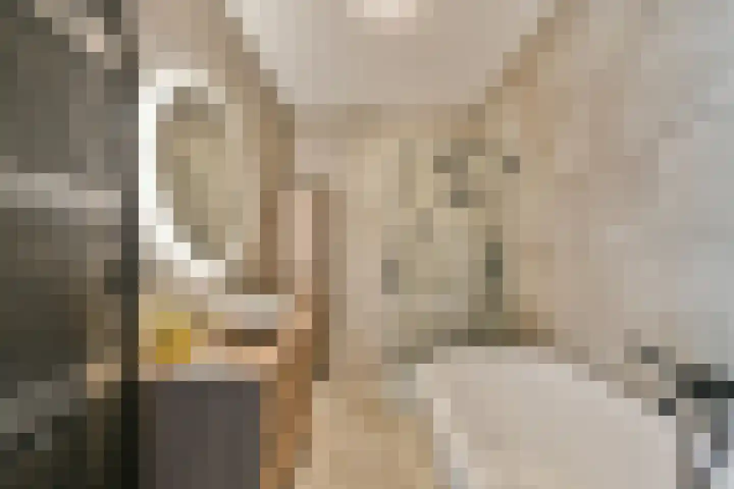 Blauwvoetstraat 21 Amsterdam thumbnail 20